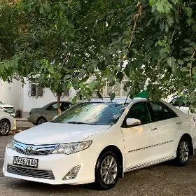 Toyota Camry 2013