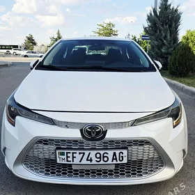Toyota Corolla 2020
