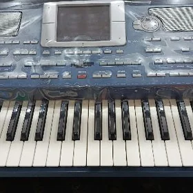 korg pa800