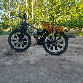 tigir