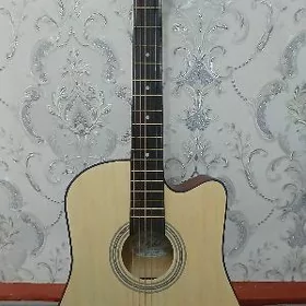 Akustik gitara