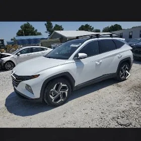 Hyundai Tucson Liza liža Liža