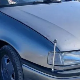 Opel Yanyan Anten