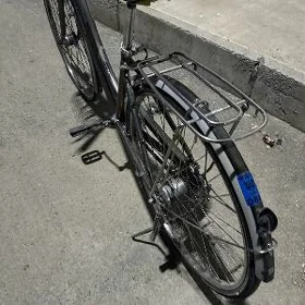 Yaponski tigir