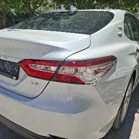 camry arginal cyra