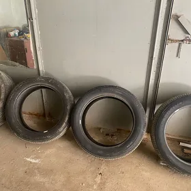 Pakryska 235/55R20