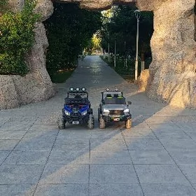 Maşyn hyzmaty çaga üçün