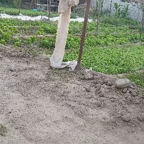 Mellek yer