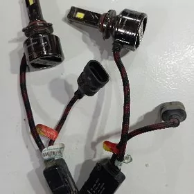 tobbi led