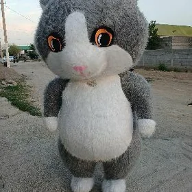 miska