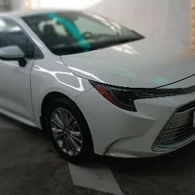 Toyota Corolla 2024
