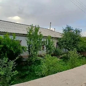satlyk jaý paraw biwide