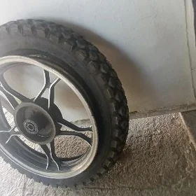 16lyk