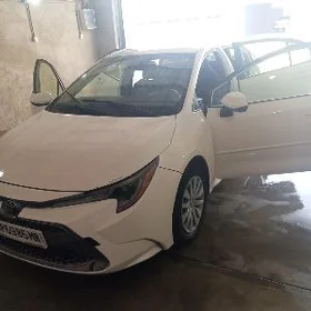 Toyota Corolla 2021