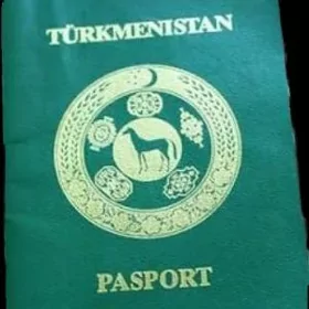 pasport yitdi