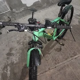 turkmenistan tigir