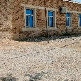 Агач аляас