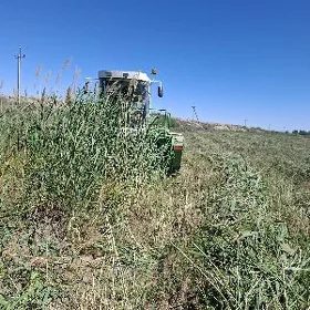 MTZ 82 1992