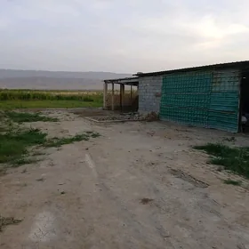 satlyk jaý