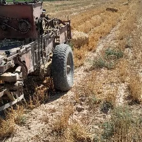MTZ 82 2000