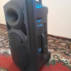 Toý Kolonka 12"-lik