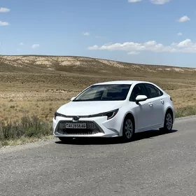 Toyota Corolla 2021
