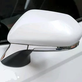 Camry18-23 bokowo stoýka nikel