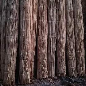 Gamyş