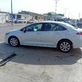 Toyota Corolla 2024