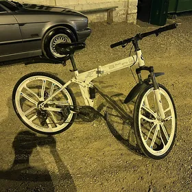 bmw tıgır