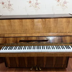 Pianino Nocturno