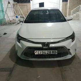 Toyota Corolla 2023