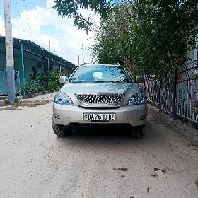 Lexus RX 330 2004