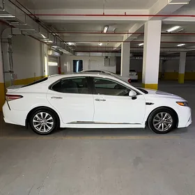 Toyota Camry 2020