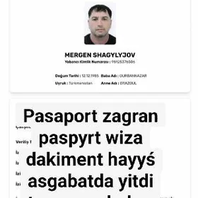 Pasport yitdi
