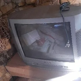 talewizer