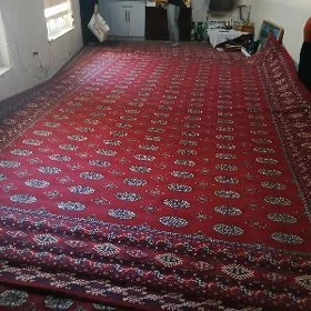 haly turkunki
