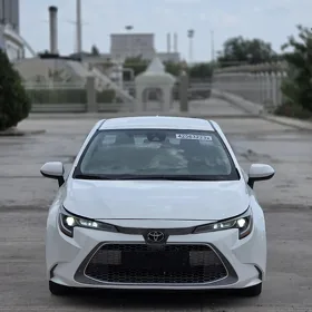 Toyota Corolla 2023