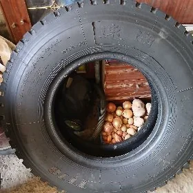 zil teker