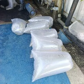Belamur liçinka