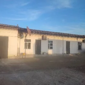 Nebitçi 103 çeleken