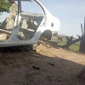 корона кузик
