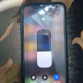 xdan 17pro owrulen.