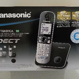 Panasonic