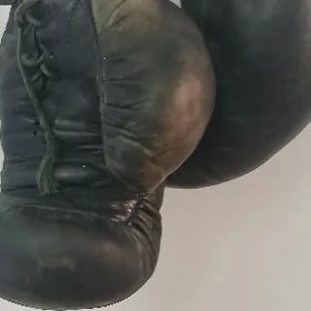 бокс елик