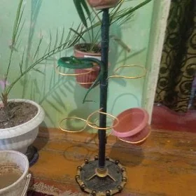 Gül padstawka