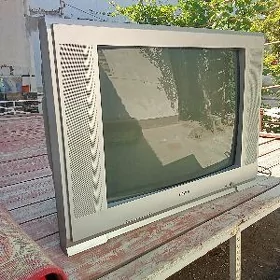 Telwizor