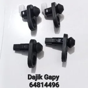 Dajik gapy