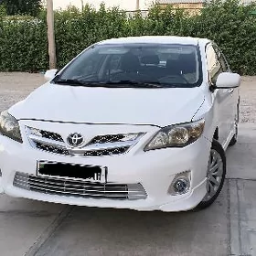 Toyota Corolla 2010
