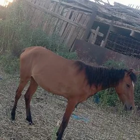 at